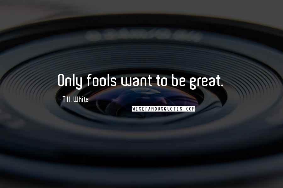 T.H. White Quotes: Only fools want to be great.