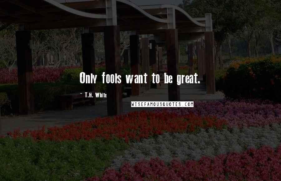 T.H. White Quotes: Only fools want to be great.