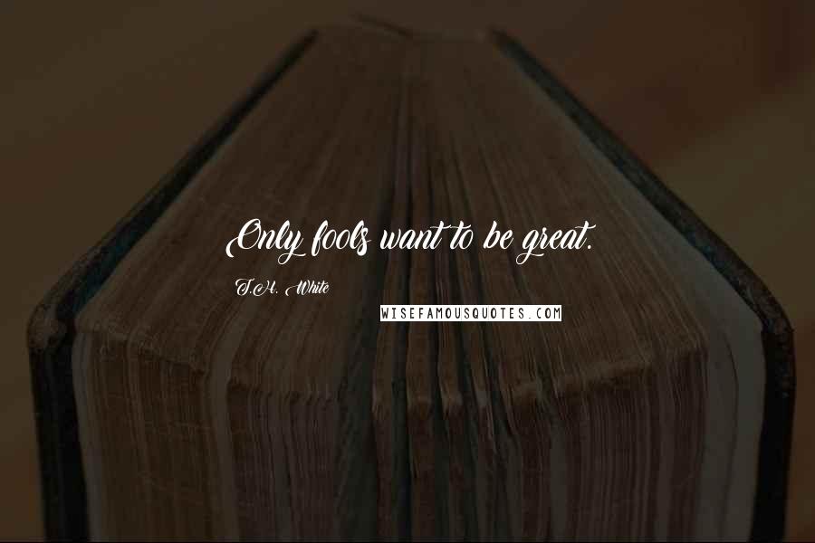 T.H. White Quotes: Only fools want to be great.