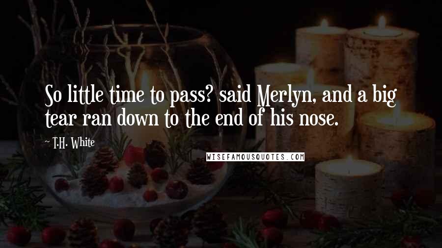 T.H. White Quotes: So little time to pass? said Merlyn, and a big tear ran down to the end of his nose.