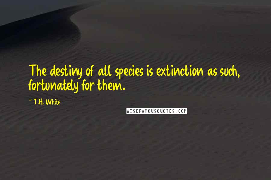 T.H. White Quotes: The destiny of all species is extinction as such, fortunately for them.