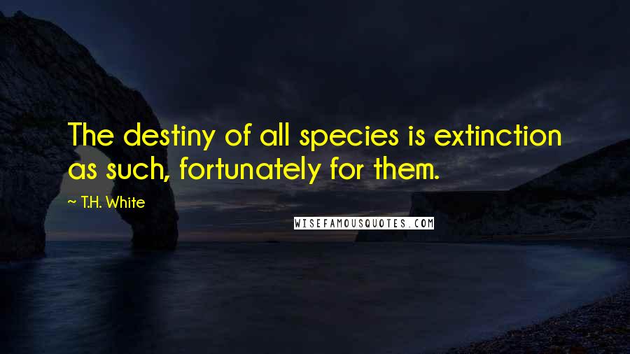 T.H. White Quotes: The destiny of all species is extinction as such, fortunately for them.