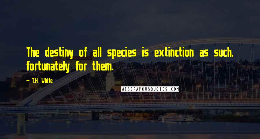 T.H. White Quotes: The destiny of all species is extinction as such, fortunately for them.