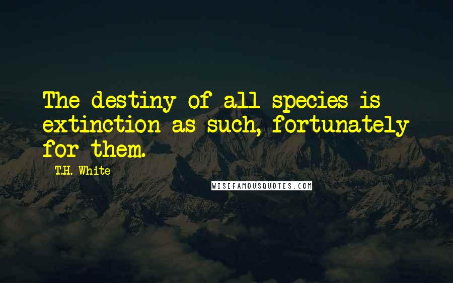 T.H. White Quotes: The destiny of all species is extinction as such, fortunately for them.