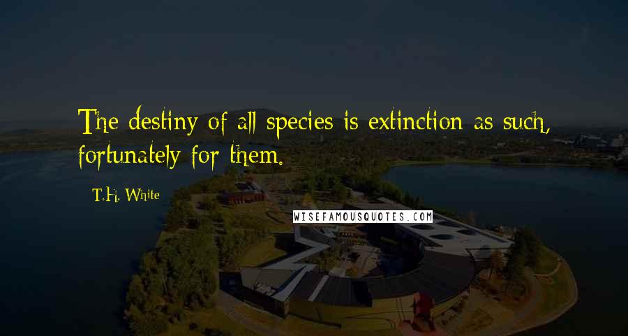 T.H. White Quotes: The destiny of all species is extinction as such, fortunately for them.