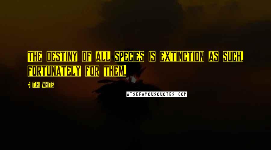 T.H. White Quotes: The destiny of all species is extinction as such, fortunately for them.