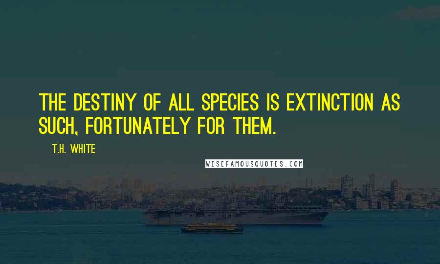 T.H. White Quotes: The destiny of all species is extinction as such, fortunately for them.