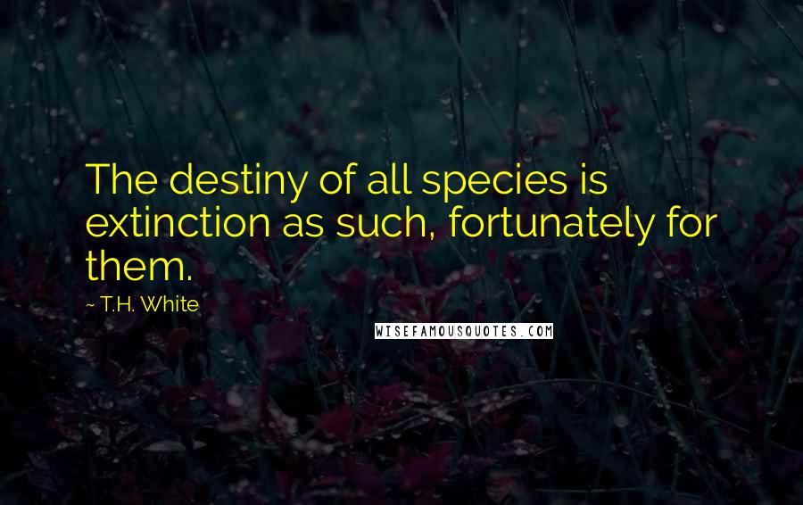 T.H. White Quotes: The destiny of all species is extinction as such, fortunately for them.