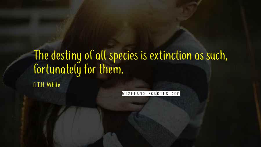 T.H. White Quotes: The destiny of all species is extinction as such, fortunately for them.