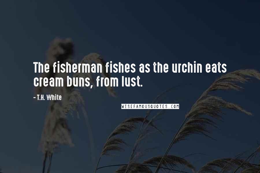 T.H. White Quotes: The fisherman fishes as the urchin eats cream buns, from lust.