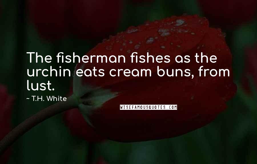 T.H. White Quotes: The fisherman fishes as the urchin eats cream buns, from lust.