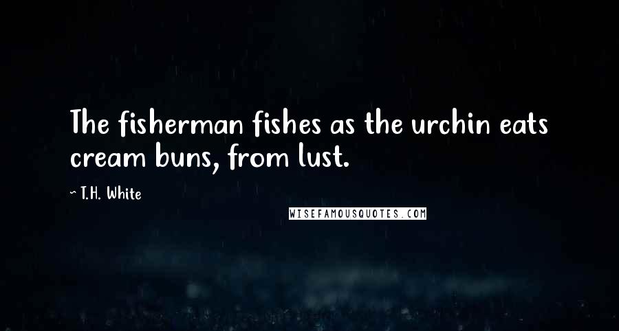 T.H. White Quotes: The fisherman fishes as the urchin eats cream buns, from lust.