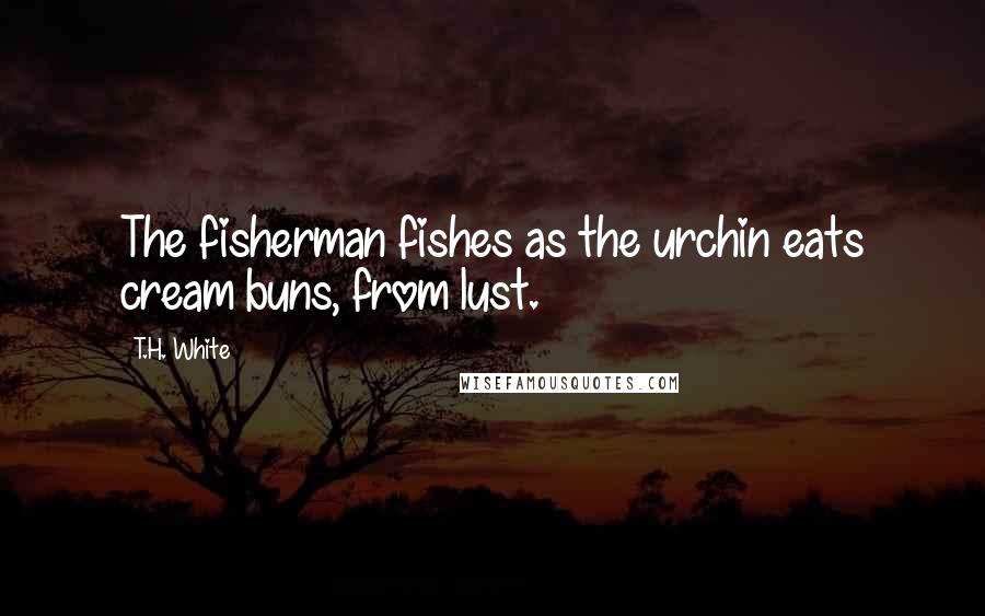 T.H. White Quotes: The fisherman fishes as the urchin eats cream buns, from lust.