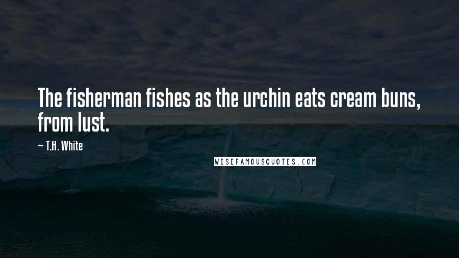 T.H. White Quotes: The fisherman fishes as the urchin eats cream buns, from lust.