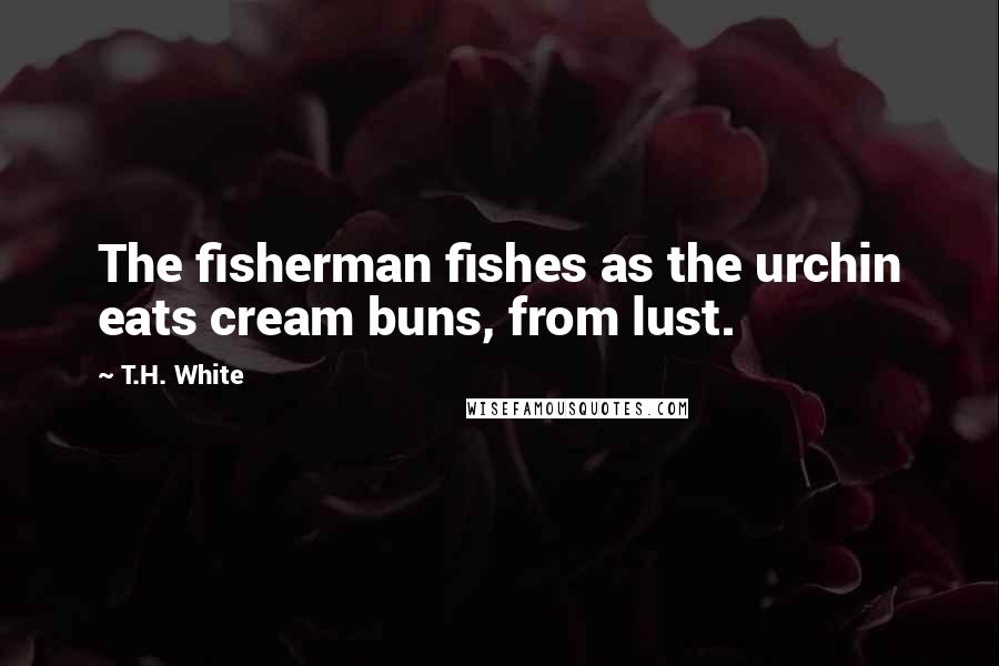 T.H. White Quotes: The fisherman fishes as the urchin eats cream buns, from lust.