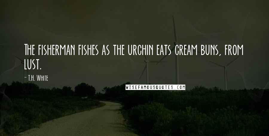 T.H. White Quotes: The fisherman fishes as the urchin eats cream buns, from lust.