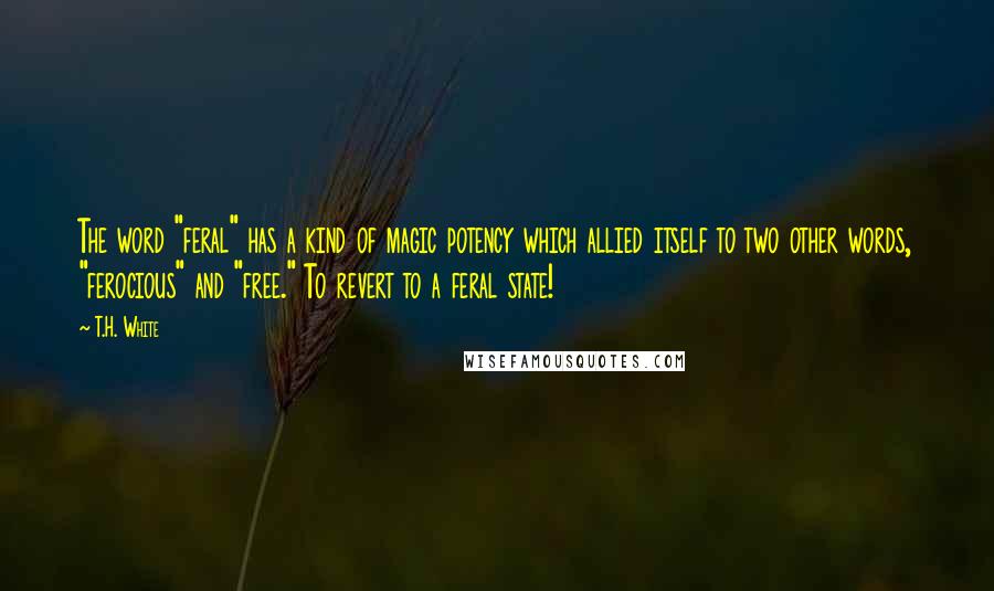 T.H. White Quotes: The word "feral" has a kind of magic potency which allied itself to two other words, "ferocious" and "free." To revert to a feral state!