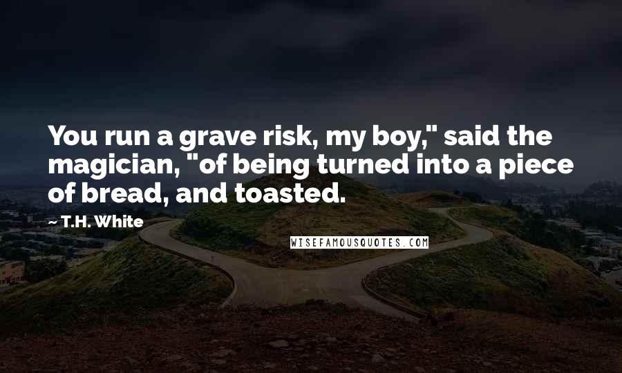 T.H. White Quotes: You run a grave risk, my boy," said the magician, "of being turned into a piece of bread, and toasted.