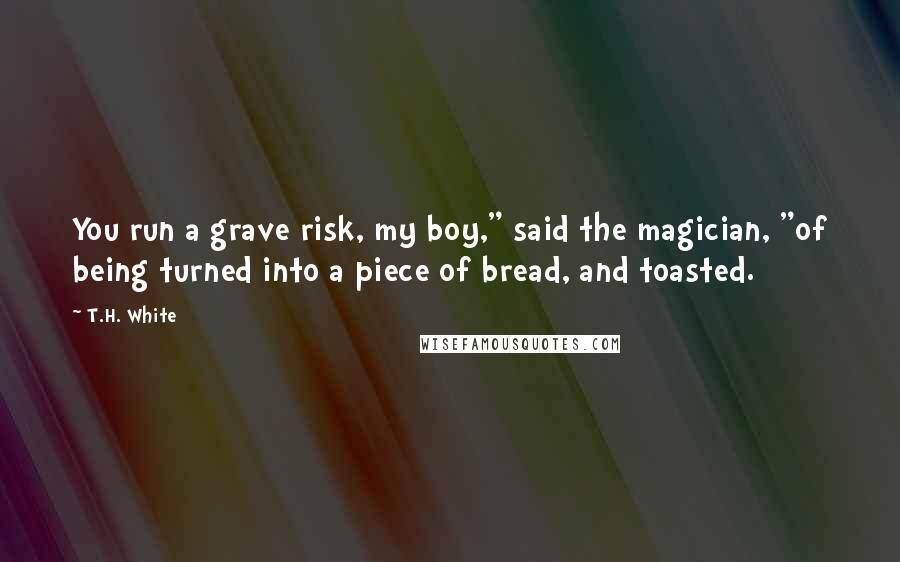 T.H. White Quotes: You run a grave risk, my boy," said the magician, "of being turned into a piece of bread, and toasted.