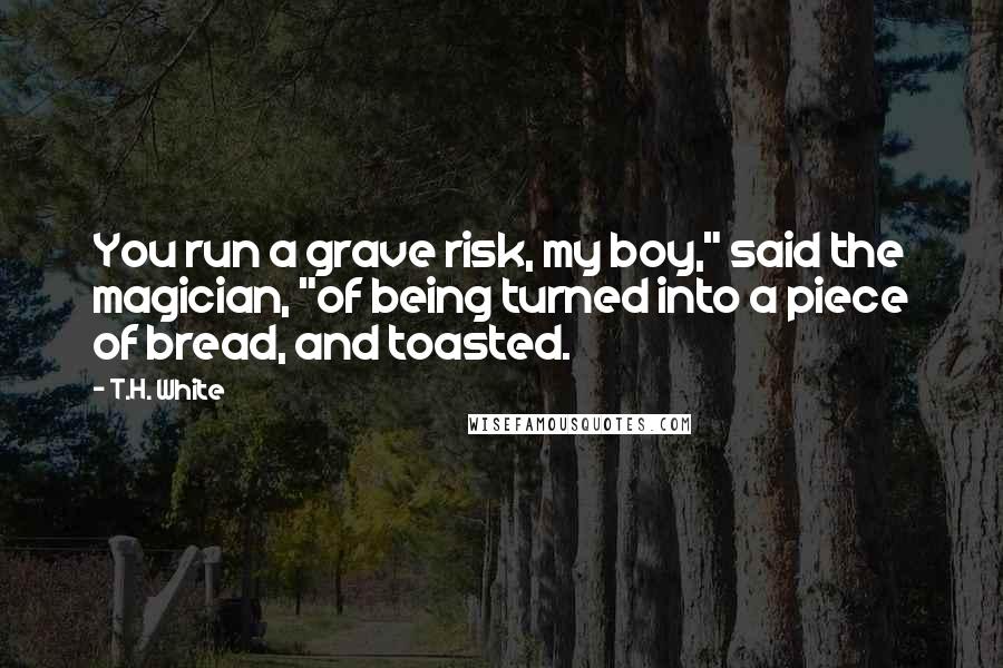 T.H. White Quotes: You run a grave risk, my boy," said the magician, "of being turned into a piece of bread, and toasted.