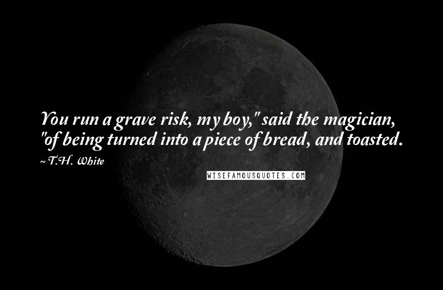 T.H. White Quotes: You run a grave risk, my boy," said the magician, "of being turned into a piece of bread, and toasted.