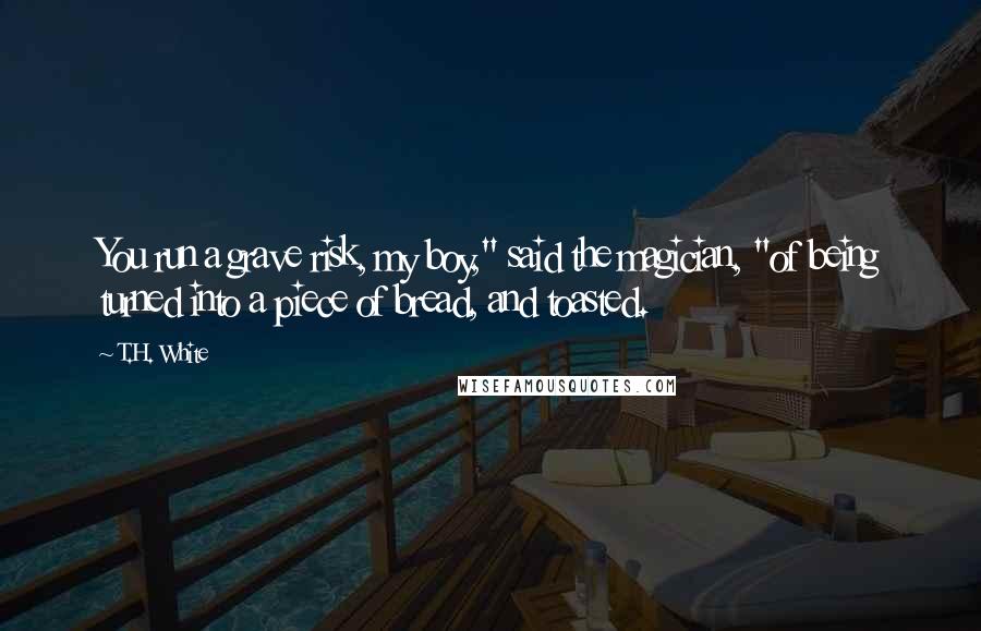 T.H. White Quotes: You run a grave risk, my boy," said the magician, "of being turned into a piece of bread, and toasted.