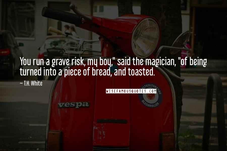 T.H. White Quotes: You run a grave risk, my boy," said the magician, "of being turned into a piece of bread, and toasted.