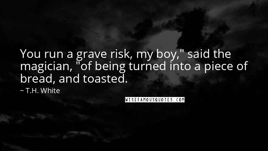 T.H. White Quotes: You run a grave risk, my boy," said the magician, "of being turned into a piece of bread, and toasted.