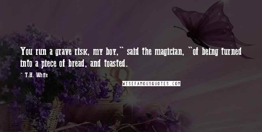 T.H. White Quotes: You run a grave risk, my boy," said the magician, "of being turned into a piece of bread, and toasted.