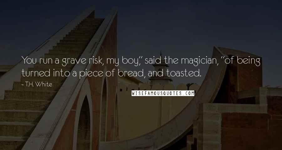 T.H. White Quotes: You run a grave risk, my boy," said the magician, "of being turned into a piece of bread, and toasted.