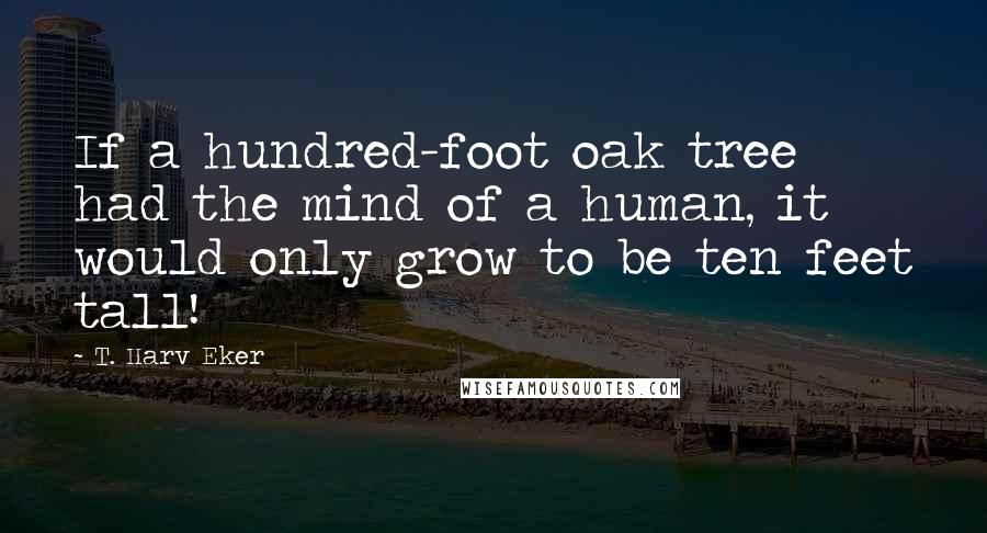 T. Harv Eker Quotes: If a hundred-foot oak tree had the mind of a human, it would only grow to be ten feet tall!