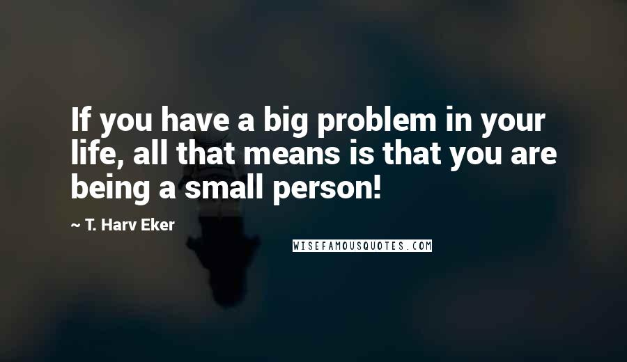 T. Harv Eker Quotes: If you have a big problem in your life, all that means is that you are being a small person!