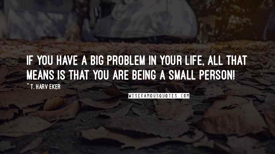 T. Harv Eker Quotes: If you have a big problem in your life, all that means is that you are being a small person!