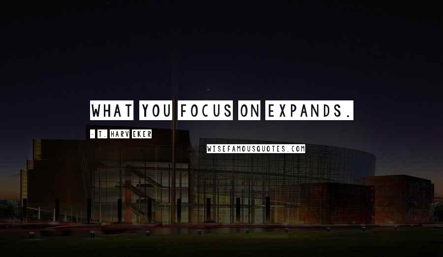 T. Harv Eker Quotes: What you focus on expands.