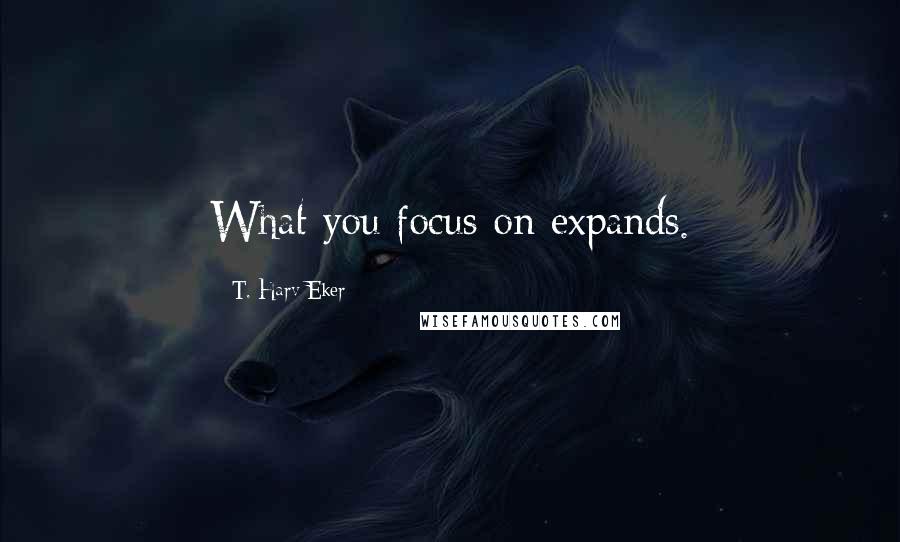 T. Harv Eker Quotes: What you focus on expands.