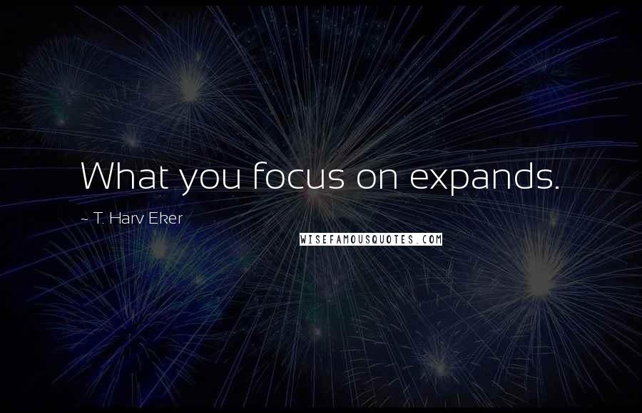 T. Harv Eker Quotes: What you focus on expands.
