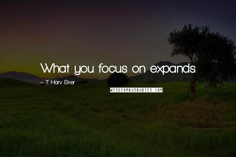 T. Harv Eker Quotes: What you focus on expands.