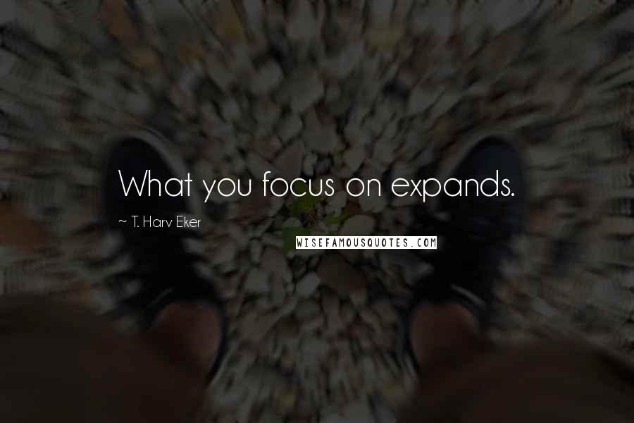 T. Harv Eker Quotes: What you focus on expands.