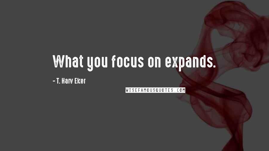 T. Harv Eker Quotes: What you focus on expands.