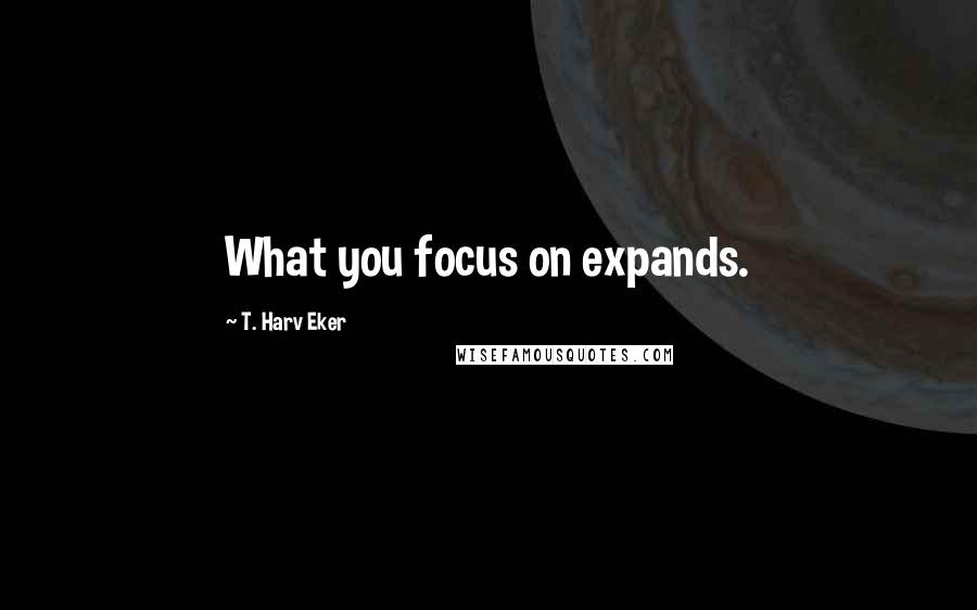 T. Harv Eker Quotes: What you focus on expands.