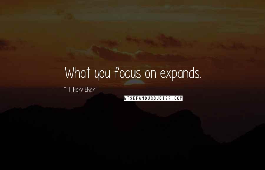 T. Harv Eker Quotes: What you focus on expands.
