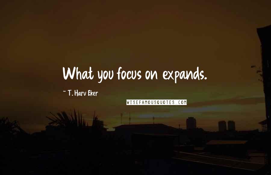 T. Harv Eker Quotes: What you focus on expands.