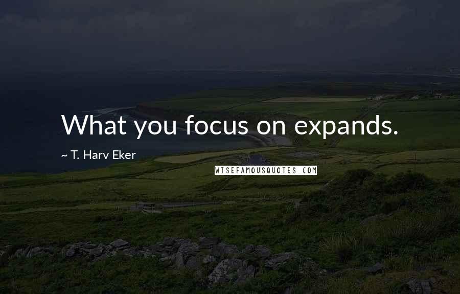 T. Harv Eker Quotes: What you focus on expands.