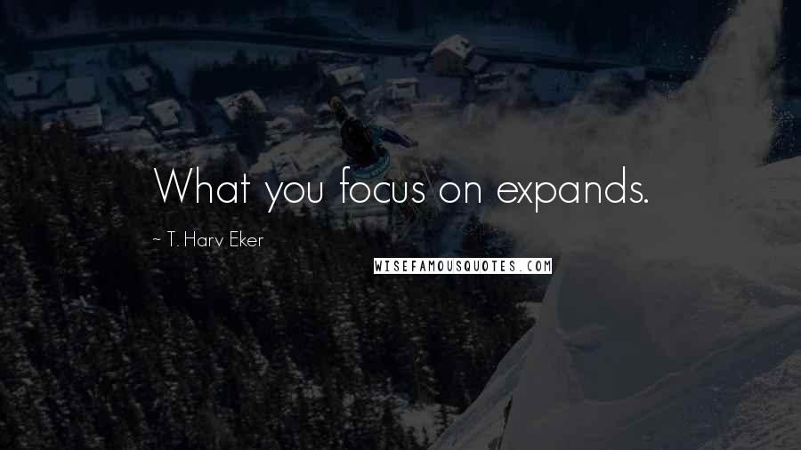 T. Harv Eker Quotes: What you focus on expands.
