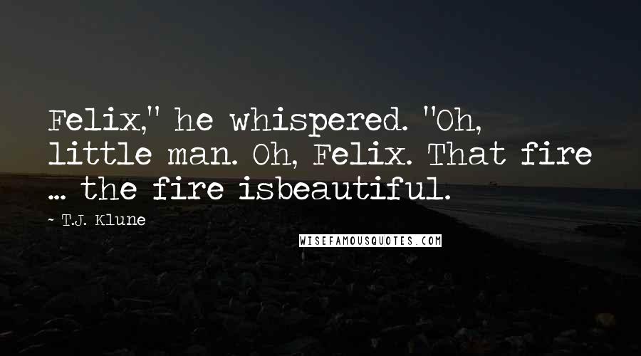 T.J. Klune Quotes: Felix," he whispered. "Oh, little man. Oh, Felix. That fire ... the fire isbeautiful.