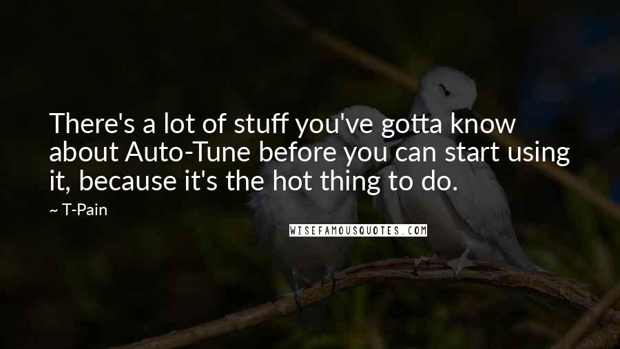 T-Pain Quotes: There's a lot of stuff you've gotta know about Auto-Tune before you can start using it, because it's the hot thing to do.