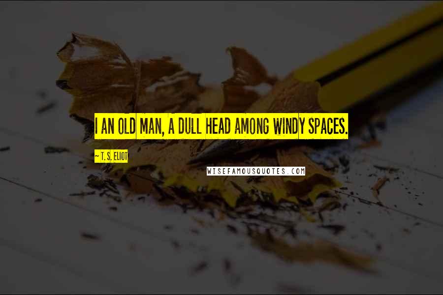 T. S. Eliot Quotes: I an old man, A dull head among windy spaces.