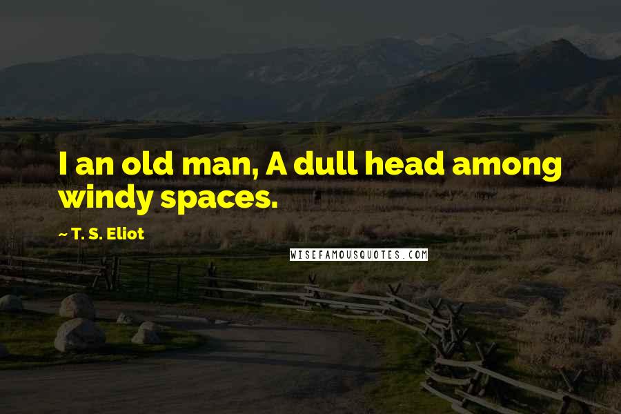 T. S. Eliot Quotes: I an old man, A dull head among windy spaces.