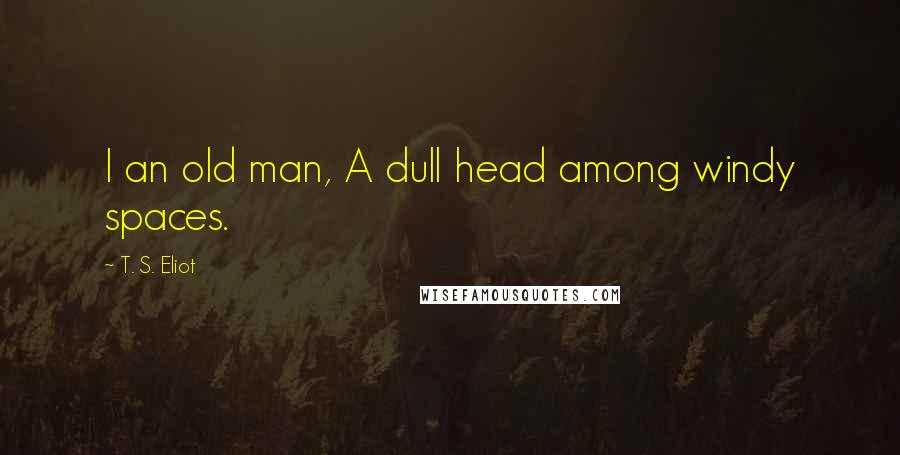 T. S. Eliot Quotes: I an old man, A dull head among windy spaces.