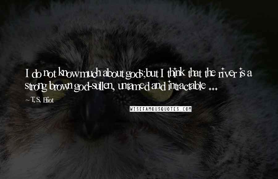 T. S. Eliot Quotes: I do not know much about gods;but I think that the river is a strong brown god-sullen, untamed and intractable ...